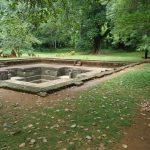 100000665769_91202475137_1548226862_n (1)